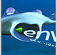 Logo intro 4 - 5